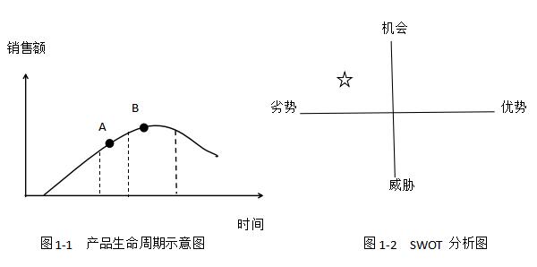 2017年咨詢(xún)《現代咨詢(xún)方法與實(shí)務(wù)》試題解析（案例一）