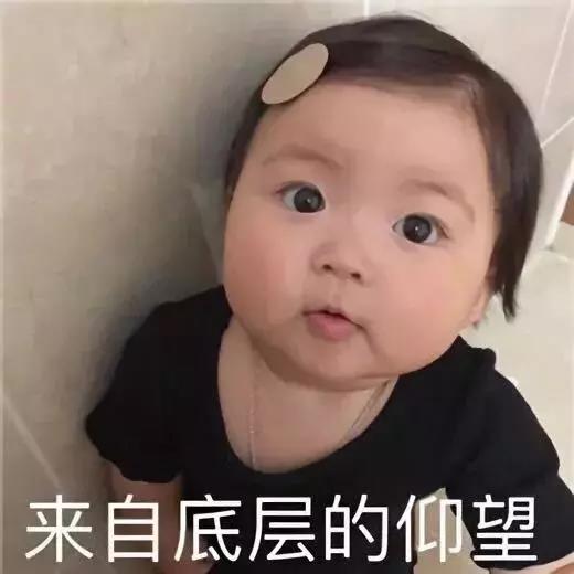 一建成績(jì)查詢(xún)
