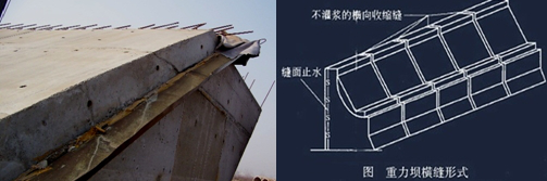 二級建造師水利實(shí)務(wù)知識點(diǎn):混凝土壩的構造及作用