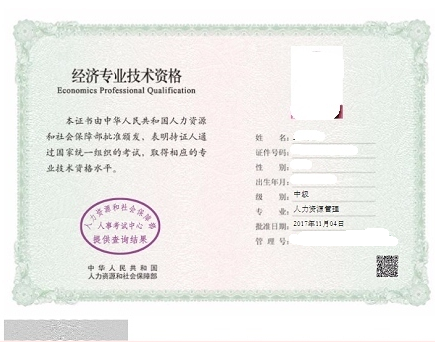 全國專(zhuān)業(yè)技術(shù)人員職業(yè)資格證書(shū)查詢(xún)驗證服務(wù)