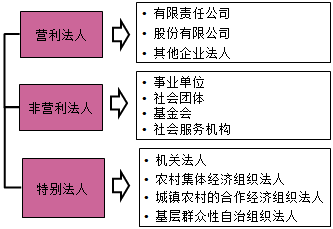 法人的分類