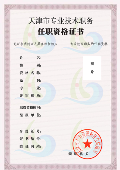 天津市專(zhuān)業(yè)技術(shù)職務(wù)任職資格電子證書(shū)樣式